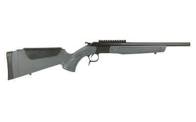 CVA Scout image 2