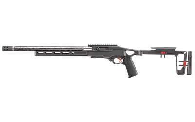Ruger 10/22