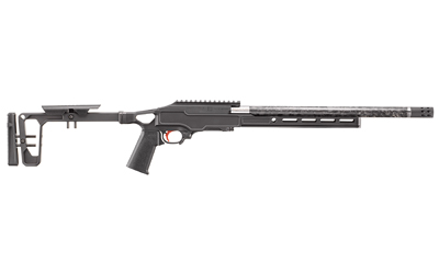 Ruger 10/22 image 2