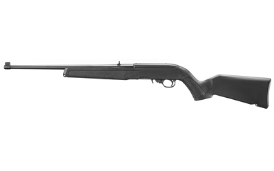Ruger 10/22
