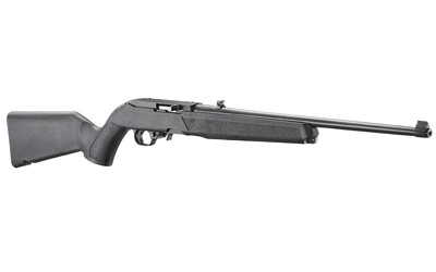 Ruger 10/22 image 3