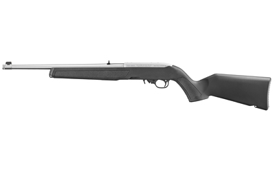 Ruger 10/22
