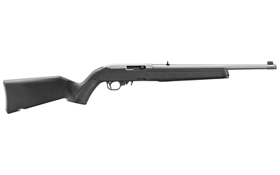 Ruger 10/22 image 2