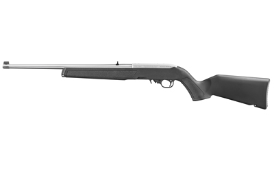 Ruger 10/22