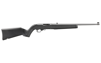 Ruger 10/22 image 2