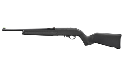 Ruger 10/22
