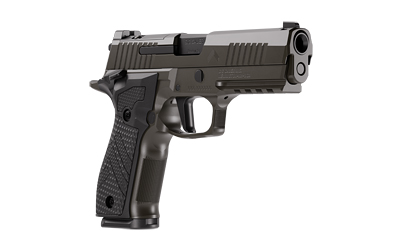 Sig Sauer P226 image 3