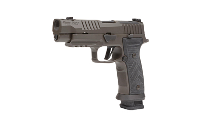 Sig Sauer P320 image 3
