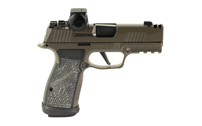 Sig Sauer P365 image 2