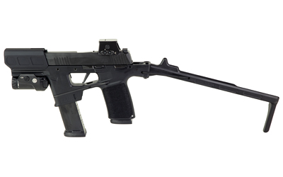 Sig Sauer P365 Flux image 2