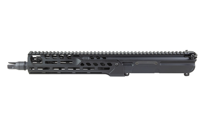 Sig Sauer MCX