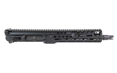 Sig Sauer MCX image 2