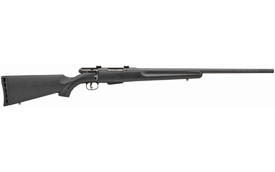 Savage Arms 25