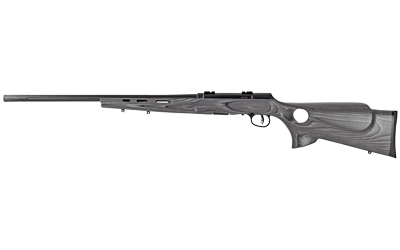 Savage Arms A17