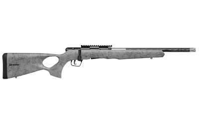 Savage Arms B22 image 2