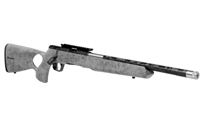 Savage Arms B22 image 3