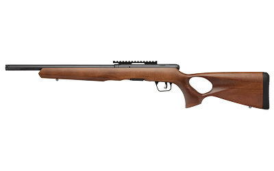 Savage Arms B22