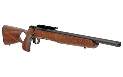 Savage Arms B22 image 3