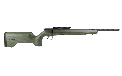 Savage Arms B17 image 2
