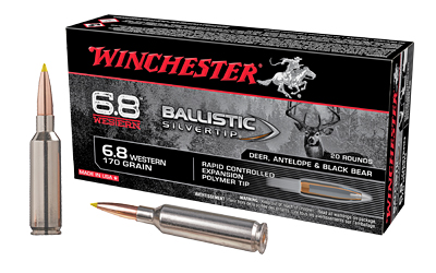 Winchester Ammunition Ballistic Silvertip