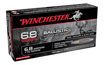 Winchester Ammunition Ballistic Silvertip image 2